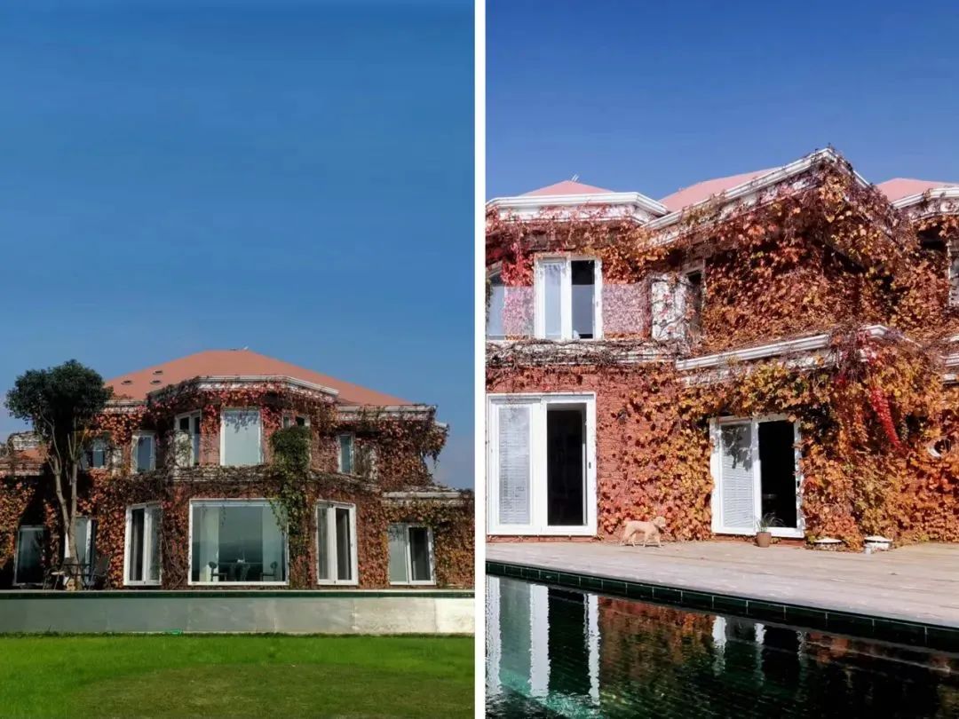 Nam nghệ sĩ 70 tuổi x&acirc;y biệt thự 1.200m2 c&ugrave;ng vợ dưỡng gi&agrave;: Kh&ocirc;ng sống c&ugrave;ng con ch&aacute;u, kh&ocirc;ng nghỉ hưu vẫn h&agrave;i l&ograve;ng- Ảnh 2.