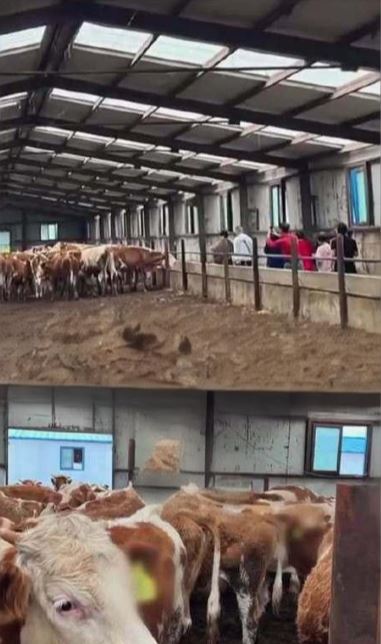 Chủ quán lẩu kinh doanh “không lấy tiền khách” nhưng vẫn lãi hơn 129 tỷ đồng: Cảnh sát vào cuộc điều tra phát hiện hơn 600 người “tự nguyện” chuyển 115 tỷ đồng- Ảnh 1.