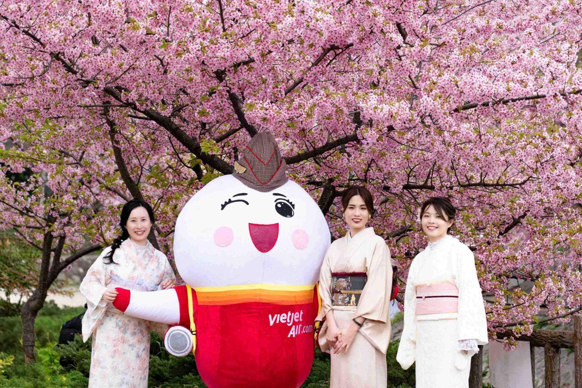 Cùng Vietjet hòa mình vào sắc màu văn hóa Việt Nam tại Nagoya- Ảnh 1.