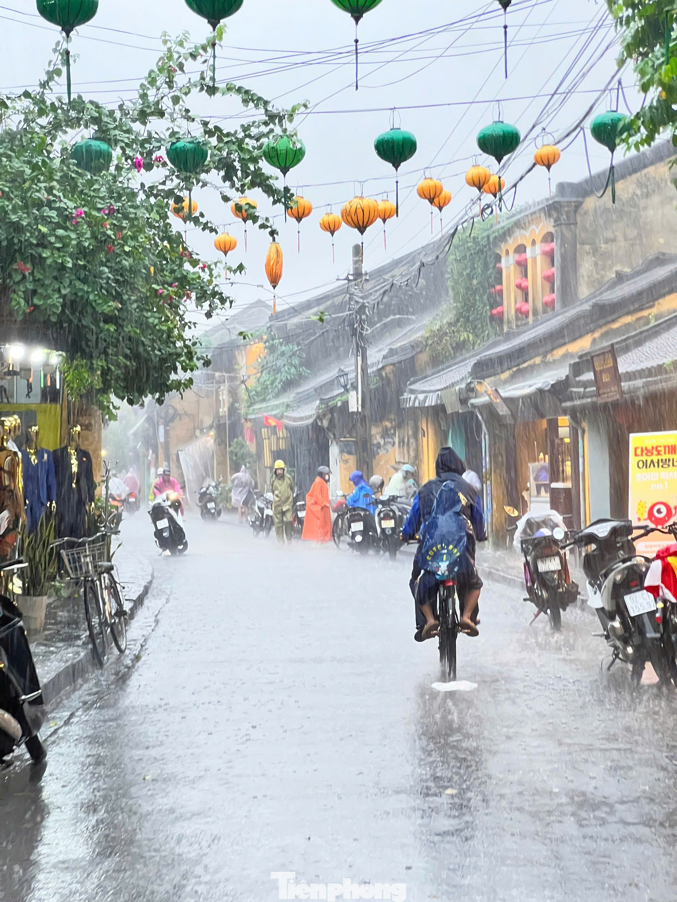Phố cổ Hội An mênh mông nước, người dân và du khách di chuyển bằng thuyền- Ảnh 12. Phố cổ Hội An mênh mông nước, người dân và du khách di chuyển bằng thuyền- Ảnh 12.
