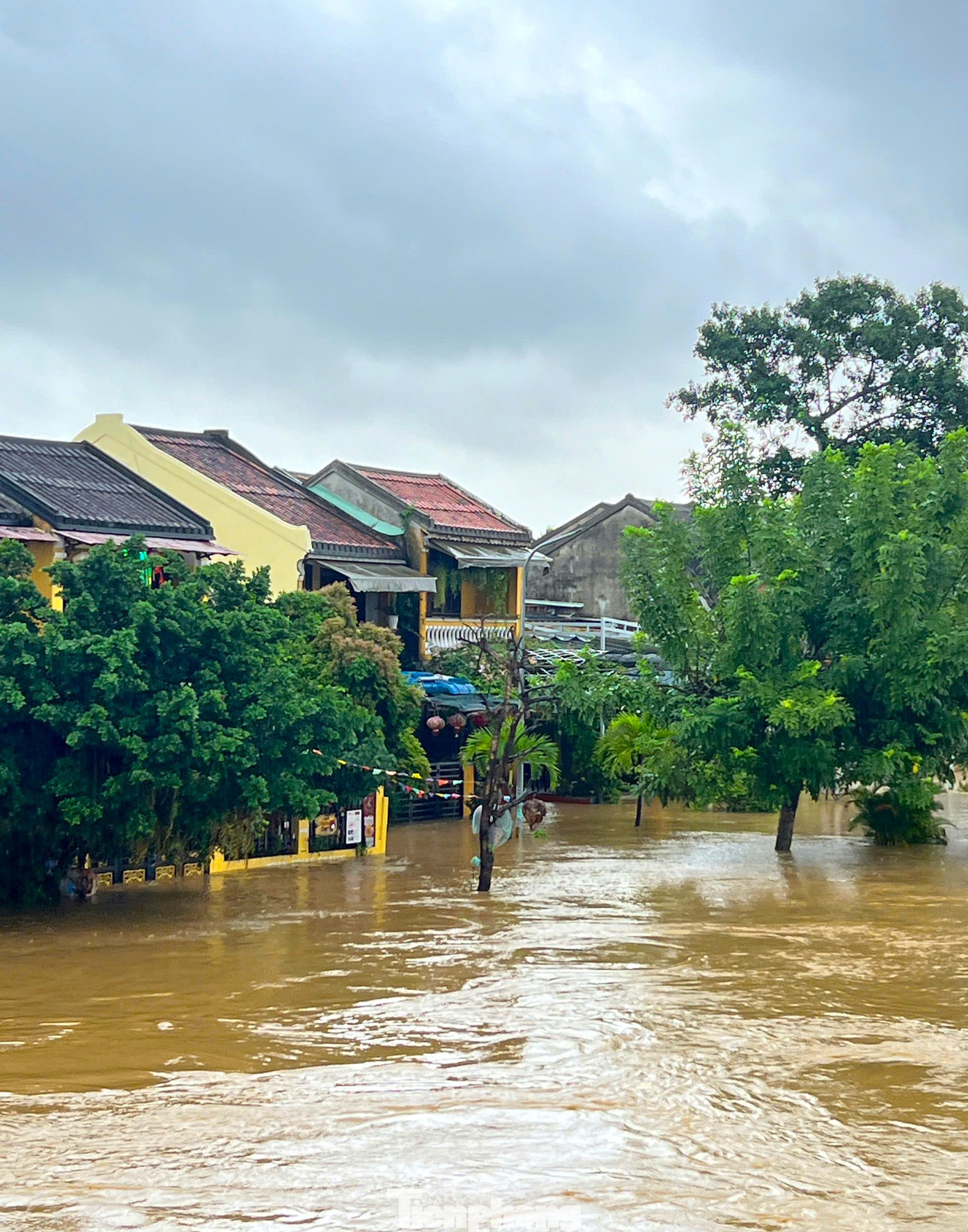 Phố cổ Hội An mênh mông nước, người dân và du khách di chuyển bằng thuyền- Ảnh 14. Phố cổ Hội An mênh mông nước, người dân và du khách di chuyển bằng thuyền- Ảnh 14.