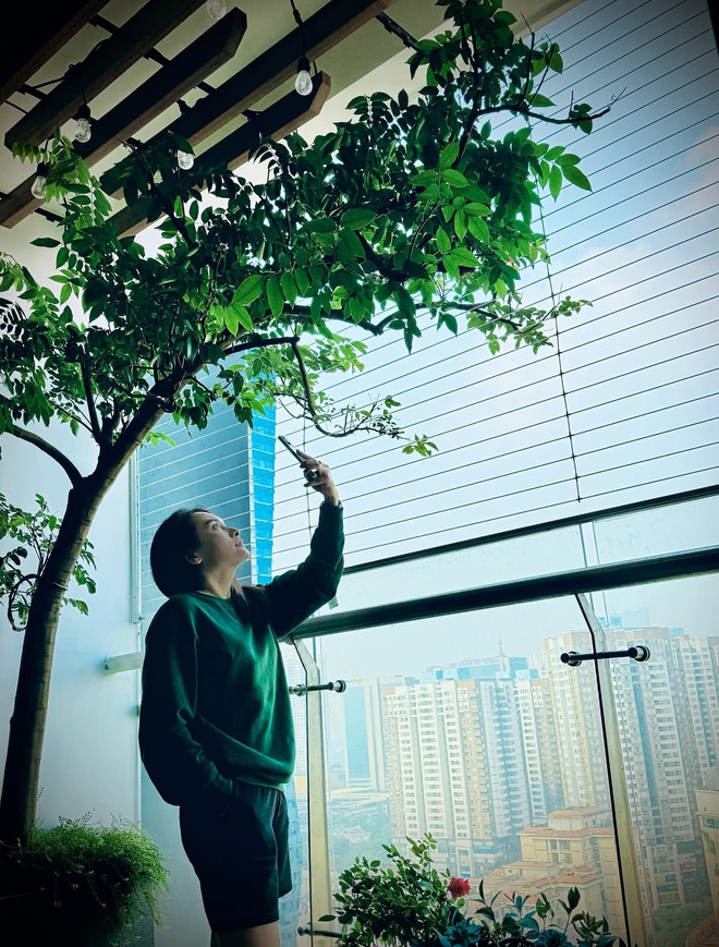 Bảo Thanh nhiều nh&agrave; cỡ n&agrave;y- Ảnh 5.