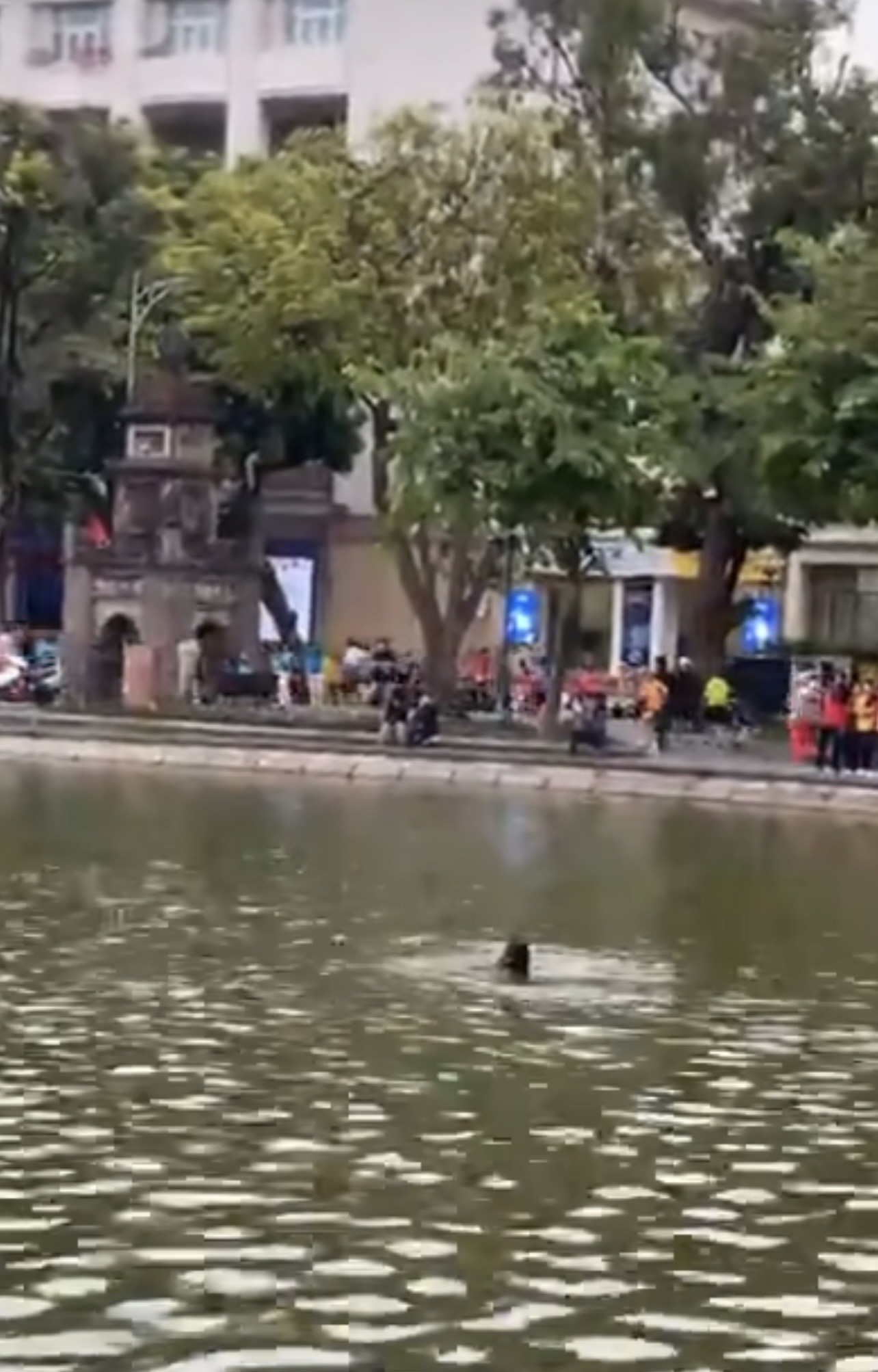 Đã xác định danh tính cô gái đuối nước tử vong ở hồ Hoàn Kiếm, người thân tiết lộ thêm thông tin- Ảnh 1. Đã xác định danh tính cô gái đuối nước tử vong ở hồ Hoàn Kiếm, người thân tiết lộ thêm thông tin- Ảnh 1.