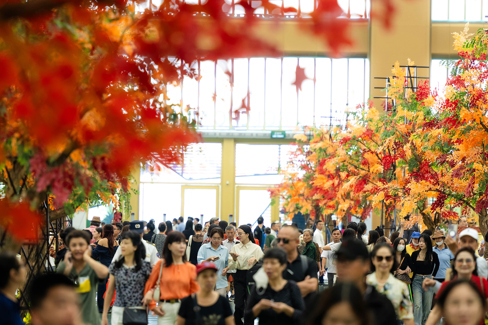 Có gì ở Hội chợ Mùa Thu mà đông vui thế này?- Ảnh 16.