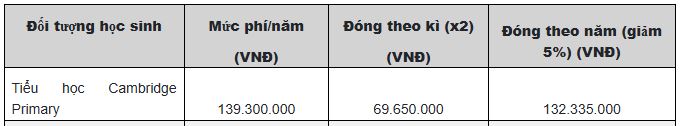 Điểm danh loạt trường Tiểu học cả CÔNG LẬP và TƯ THỤC ở Hà Nội đang dạy chương trình Cambridge, kèm học phí cụ thể!- Ảnh 2.