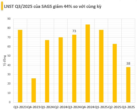 Mất khách hàng Vietjet, Phục vụ Mặt đất Sài Gòn báo lãi quý 3/2025 giảm 44%- Ảnh 2.