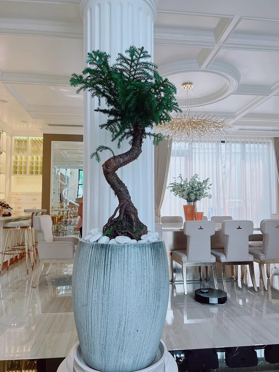 Bất động sản từ Nam chí Bắc, từ Việt Nam đến nước ngoài của Lệ Quyên- Ảnh 7.