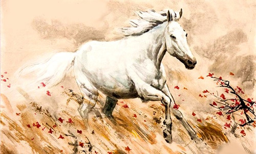 3 con giáp dù bằng cấp không cao nhưng rất dễ thăng tiến trong công việc, ai cũng quý mến- Ảnh 1. 3 con giáp dù bằng cấp không cao nhưng rất dễ thăng tiến trong công việc, ai cũng quý mến- Ảnh 1.