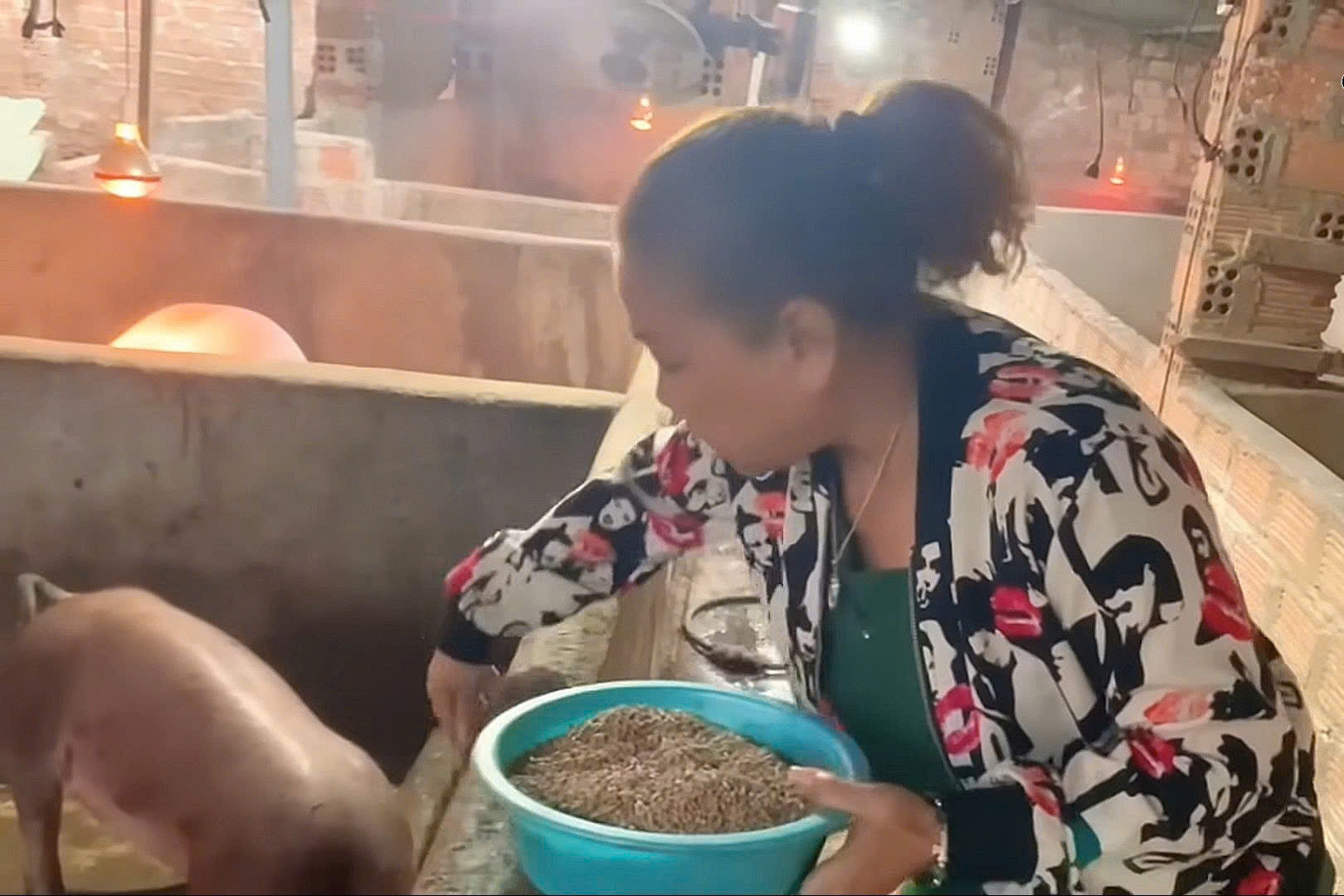 Sao nữ Vbiz tuổi U60: Về quê làm nông  Sao nữ Vbiz tuổi U60: Về quê làm nông