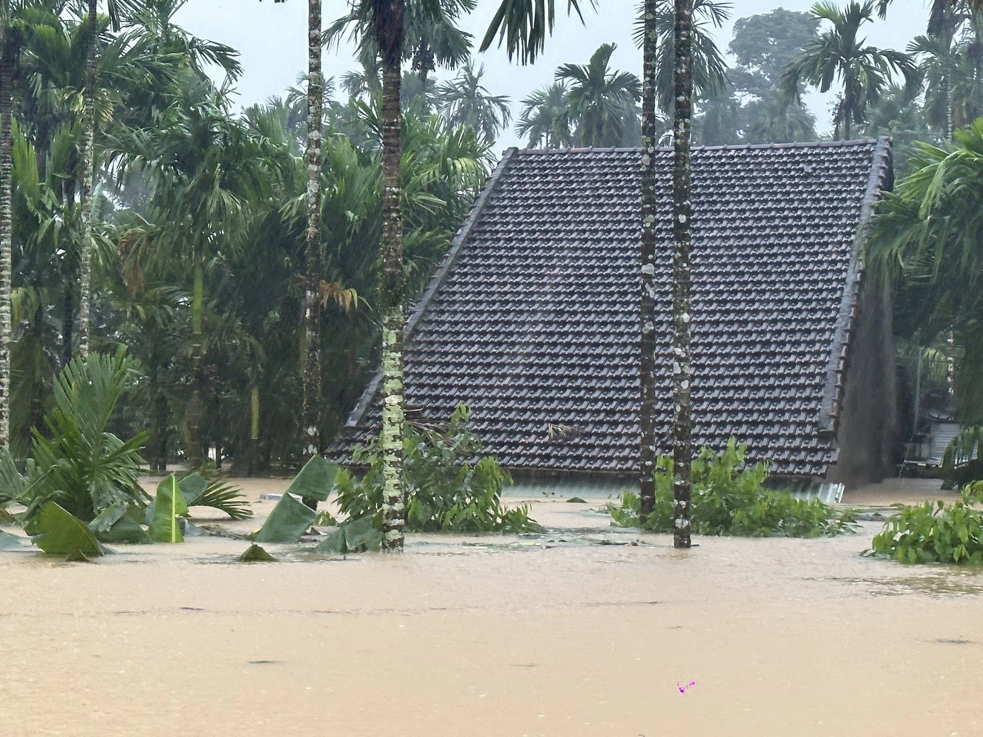 Lũ trên sông Vu Gia - Thu Bồn phá vỡ kỷ lục lịch sử năm 1964, Đà Nẵng đối mặt đại hồng thủy- Ảnh 4. Lũ trên sông Vu Gia - Thu Bồn phá vỡ kỷ lục lịch sử năm 1964, Đà Nẵng đối mặt đại hồng thủy- Ảnh 4.