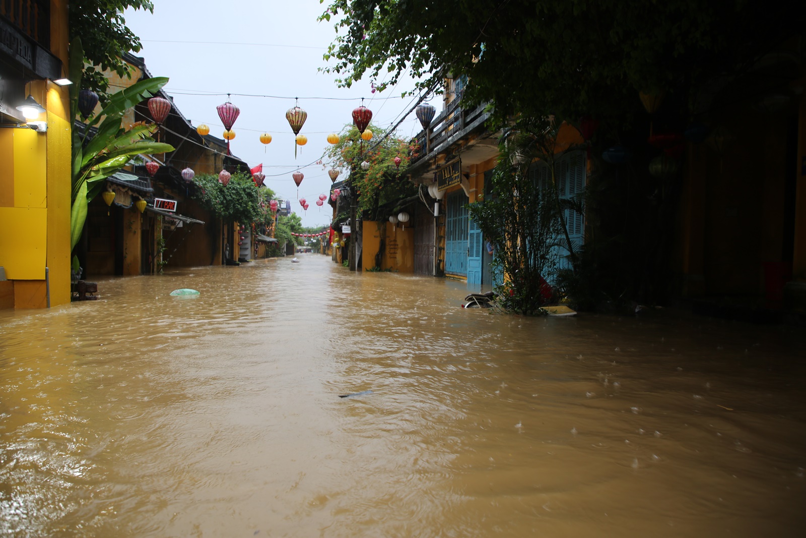 Mực nước sông Thu Bồn vượt lũ lịch sử 1964, tiếp tục dâng trong 6 - 12 giờ tới- Ảnh 1. Mực nước sông Thu Bồn vượt lũ lịch sử 1964, tiếp tục dâng trong 6 - 12 giờ tới- Ảnh 1.