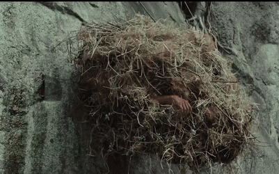 Chưa từng có ở showbiz: Phim Việt chưa chiếu đã nhận bão 1 sao, netizen tranh cãi “quá đúng hay quá đáng”