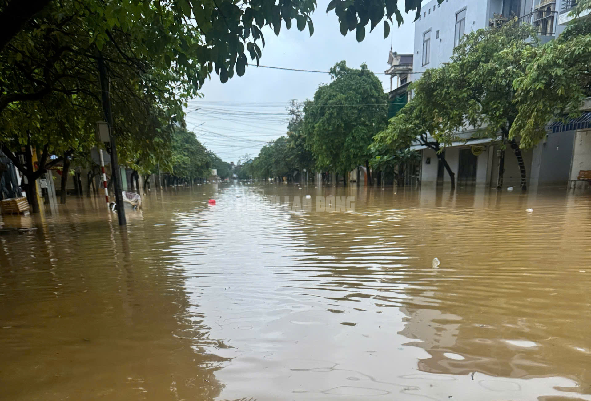 Cận cảnh đường phố Huế khi nước lũ bắt đầu rút- Ảnh 12. Cận cảnh đường phố Huế khi nước lũ bắt đầu rút- Ảnh 12.