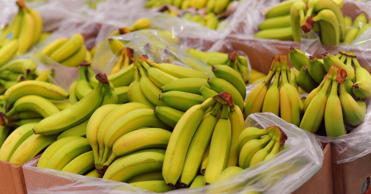 Việt Nam sở hữu “trái cây hạnh phúc” chinh phục Nhật Bản, hút mạnh thị trường Trung Quốc- Ảnh 1.