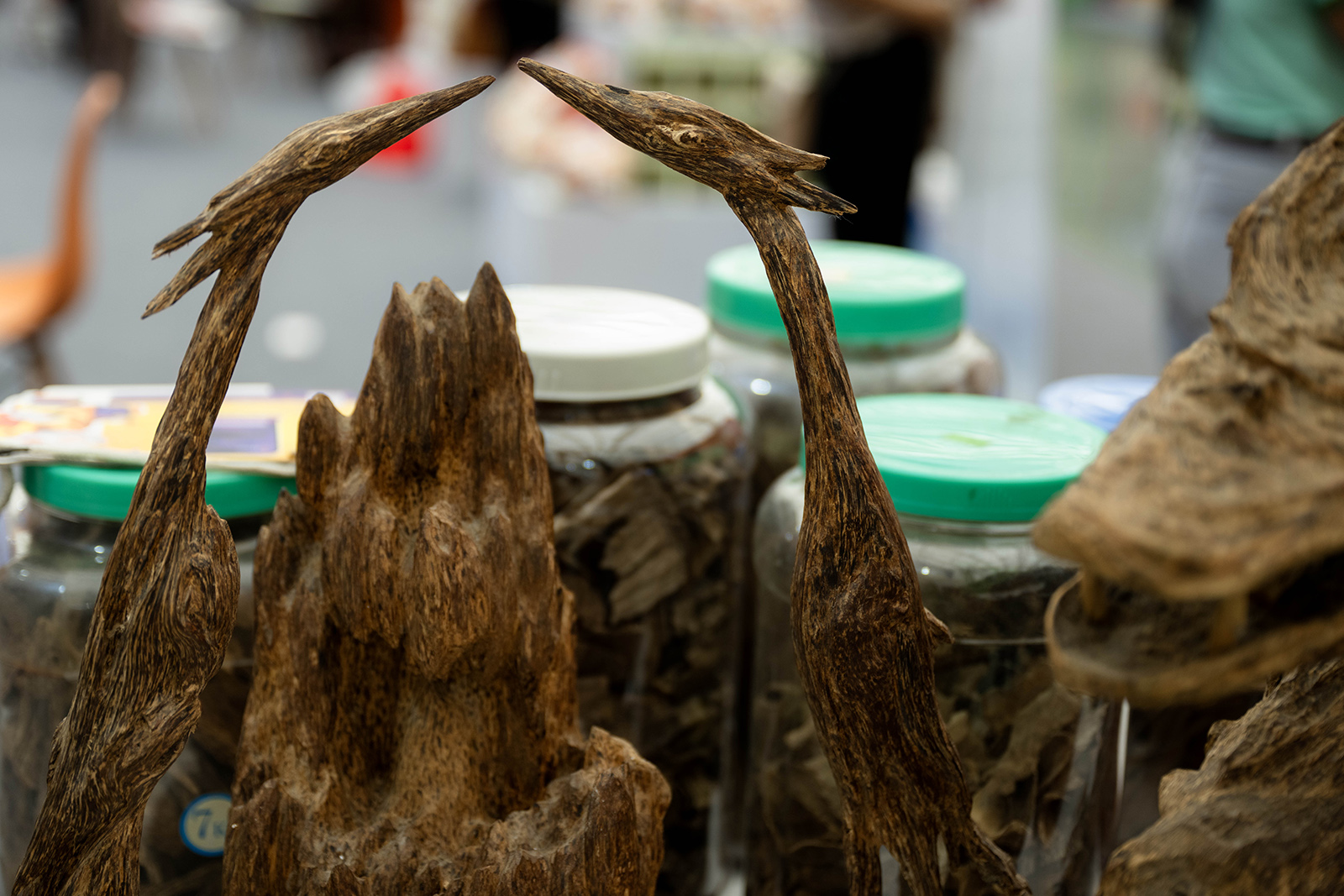 700 triệu đồng cho một "khối gỗ" hình rồng ở Hà Nội: Vì sao chủ nhân không bán?- Ảnh 11. 700 triệu đồng cho một "khối gỗ" hình rồng ở Hà Nội: Vì sao chủ nhân không bán?- Ảnh 11.