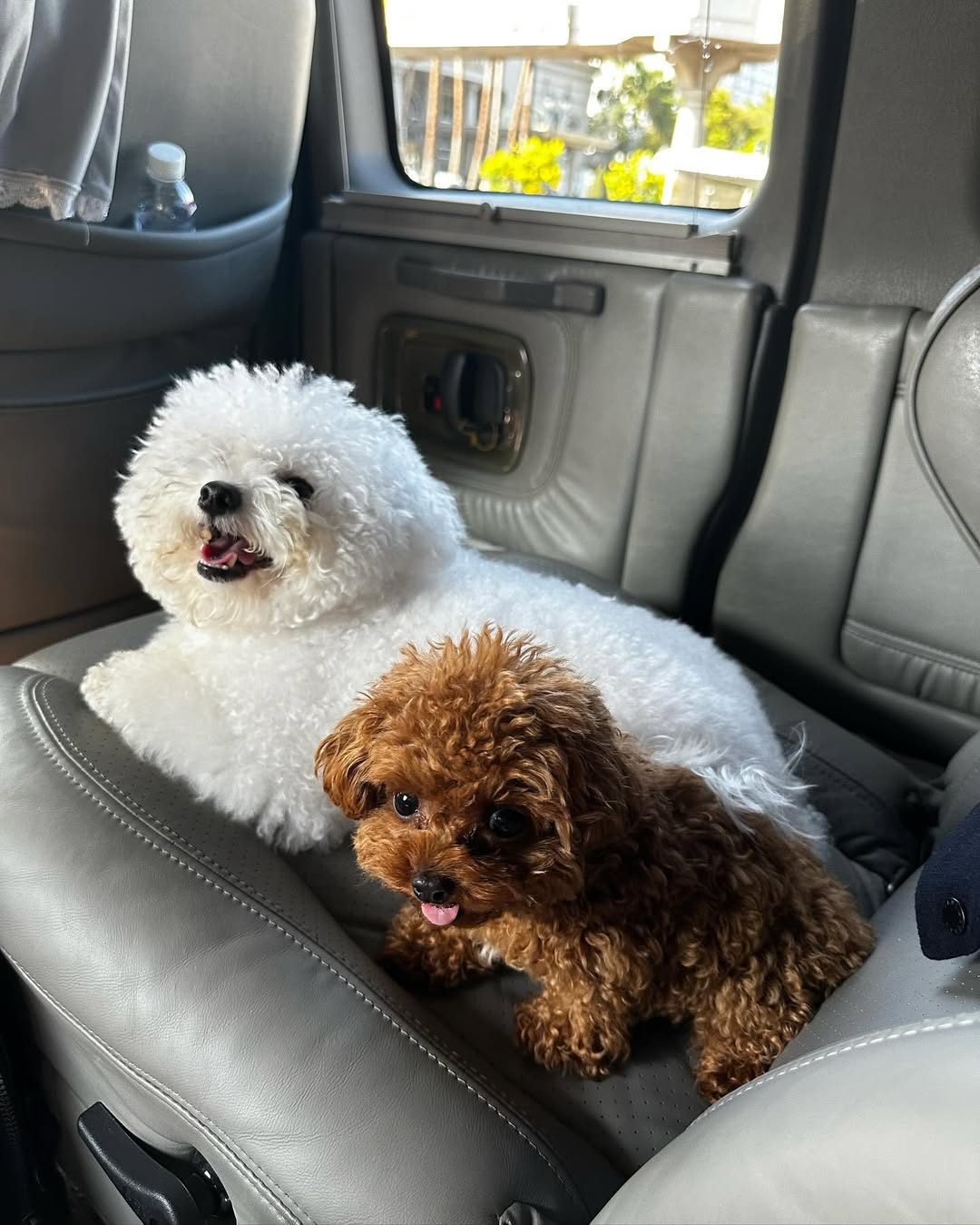 Những chuyến du lịch triệu đô của Tiên Nguyễn- Ảnh 15. Những chuyến du lịch triệu đô của Tiên Nguyễn- Ảnh 15.