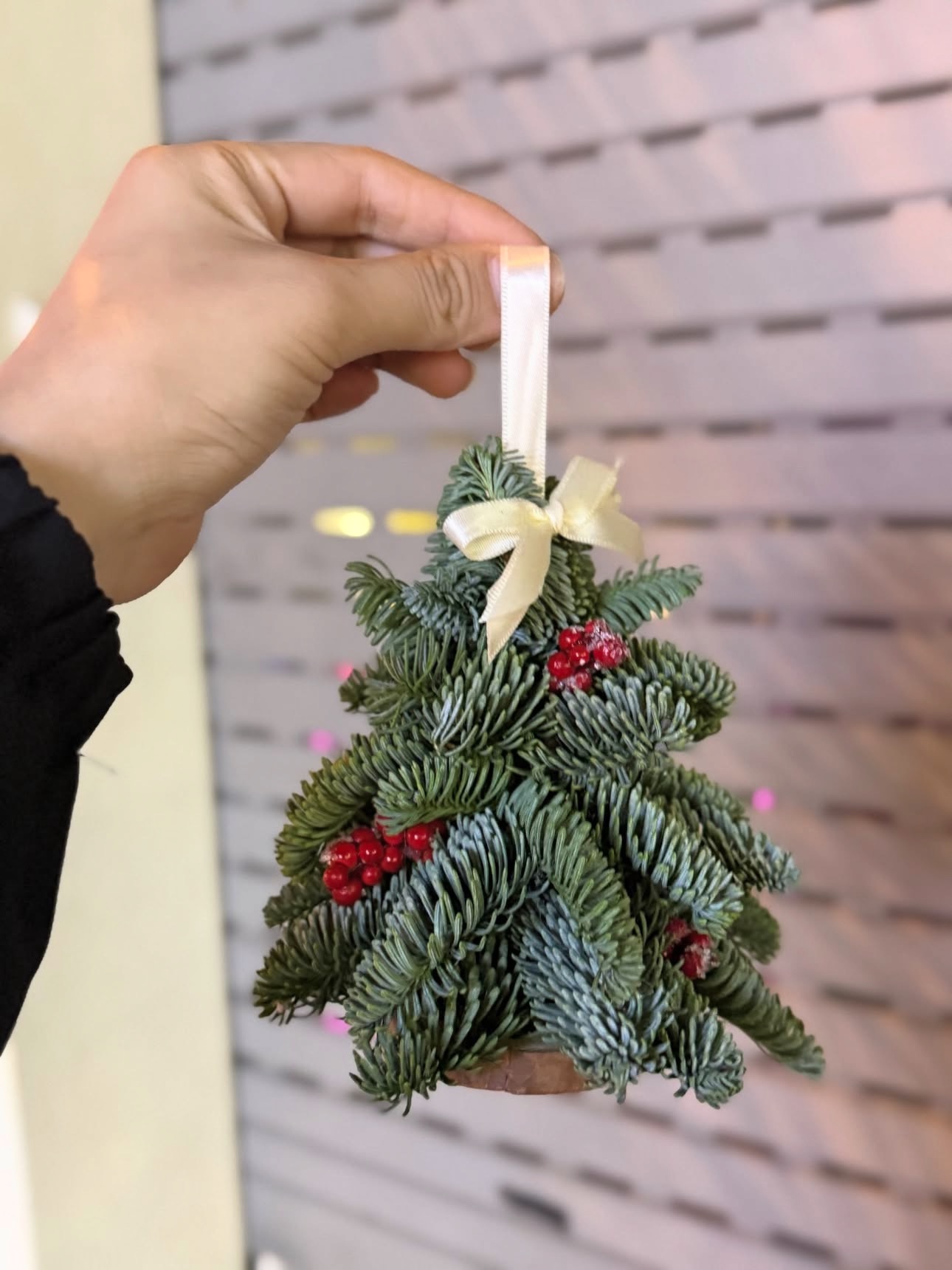 Năm nay Việt Nam đón giáng sinh sớm?- Ảnh 12.