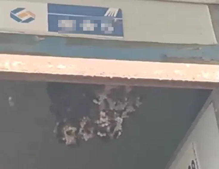 Mở cửa phòng, người đàn ông bị "hàng trăm mũi kim cắm khắp người"- Ảnh 1. Mở cửa phòng, người đàn ông bị "hàng trăm mũi kim cắm khắp người"- Ảnh 1.