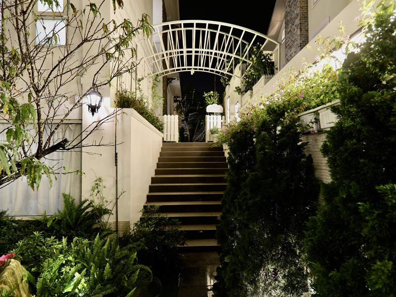 Nữ nghệ sĩ sở hữu biệt thự 30 tỷ ở Đà Lạt, chọn sống độc thân tới già, nuôi hơn 400 con chó hoang- Ảnh 6.