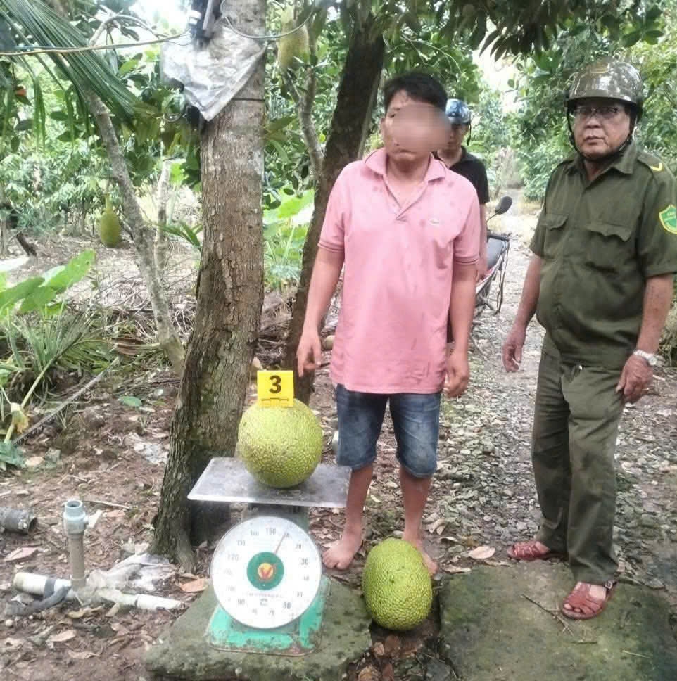 Vì sao người đàn ông bị khởi tố do trộm 2 trái mít ở Đồng Tháp?- Ảnh 2.
