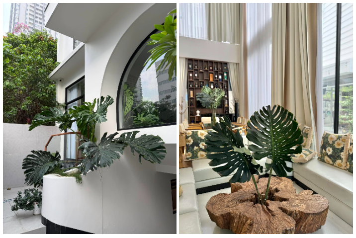 photo-1761711070084 photo-1761711070084