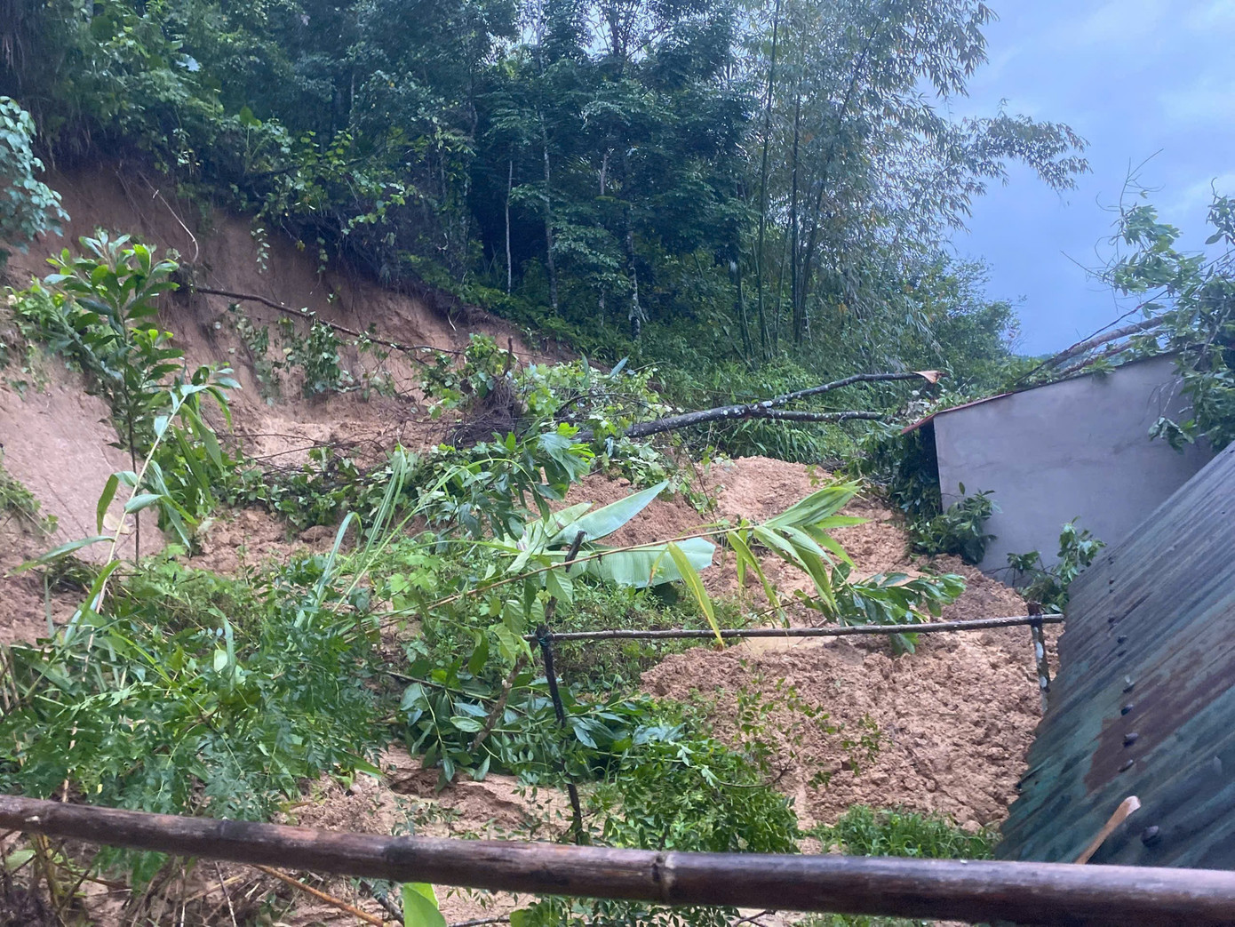 Nước lũ nhấn chìm hơn 66.800 nhà dân ở Đà Nẵng, mưa lớn chưa có dấu hiệu giảm- Ảnh 4. Nước lũ nhấn chìm hơn 66.800 nhà dân ở Đà Nẵng, mưa lớn chưa có dấu hiệu giảm- Ảnh 4.