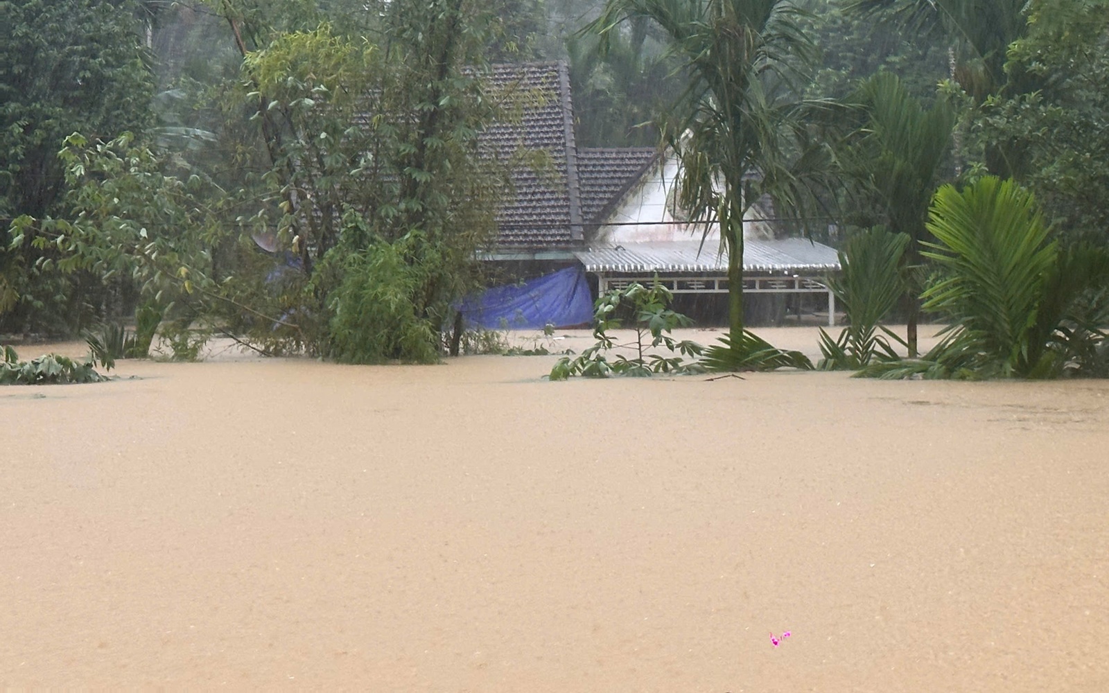 Toàn cảnh Hội An và Đà Nẵng những ngày chìm trong biển nước- Ảnh 12. Toàn cảnh Hội An và Đà Nẵng những ngày chìm trong biển nước- Ảnh 12.