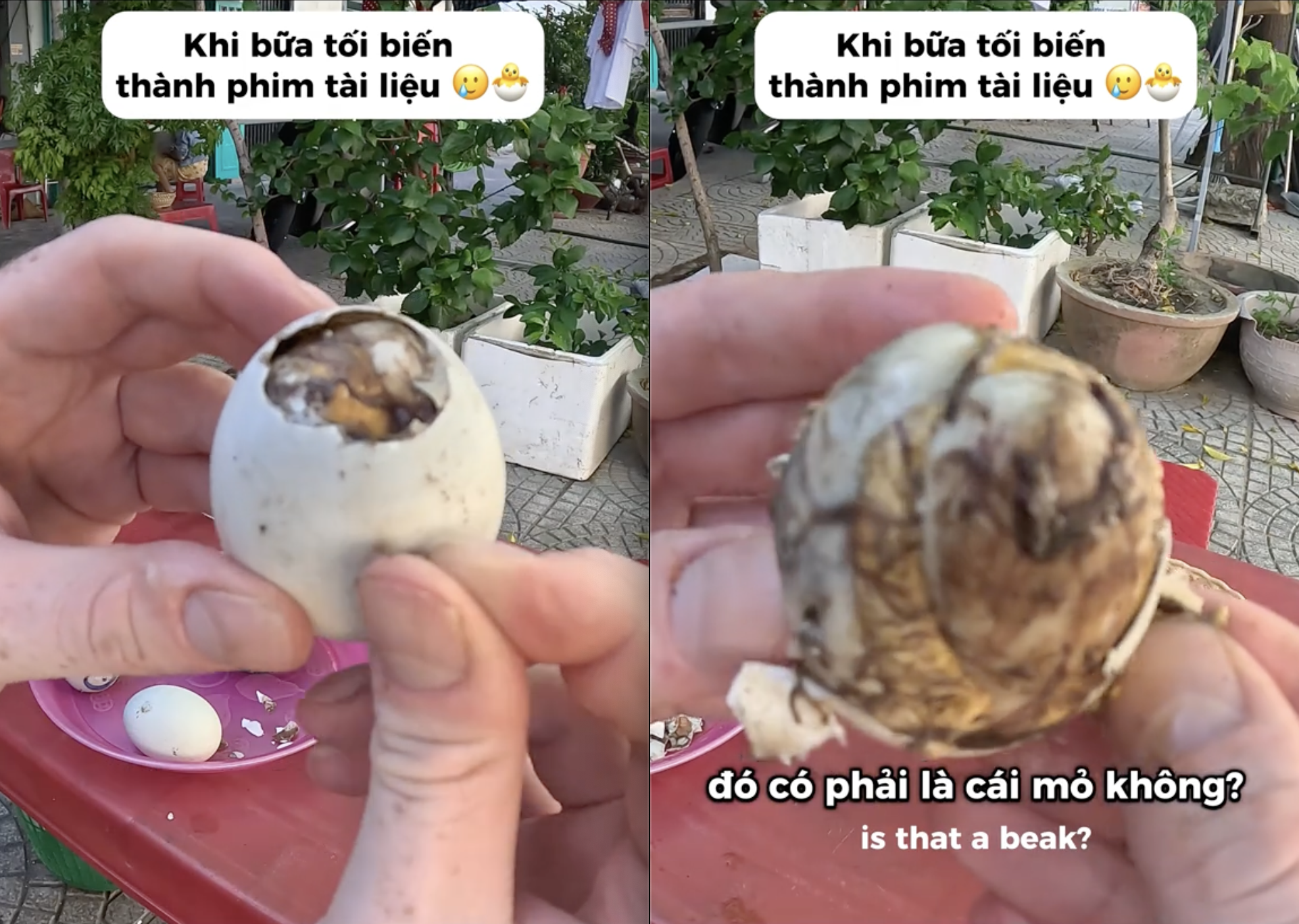 Khách Tây hết hồn khi ăn tối ở Việt Nam: "Bữa tối đang nhìn tôi"!- Ảnh 2.