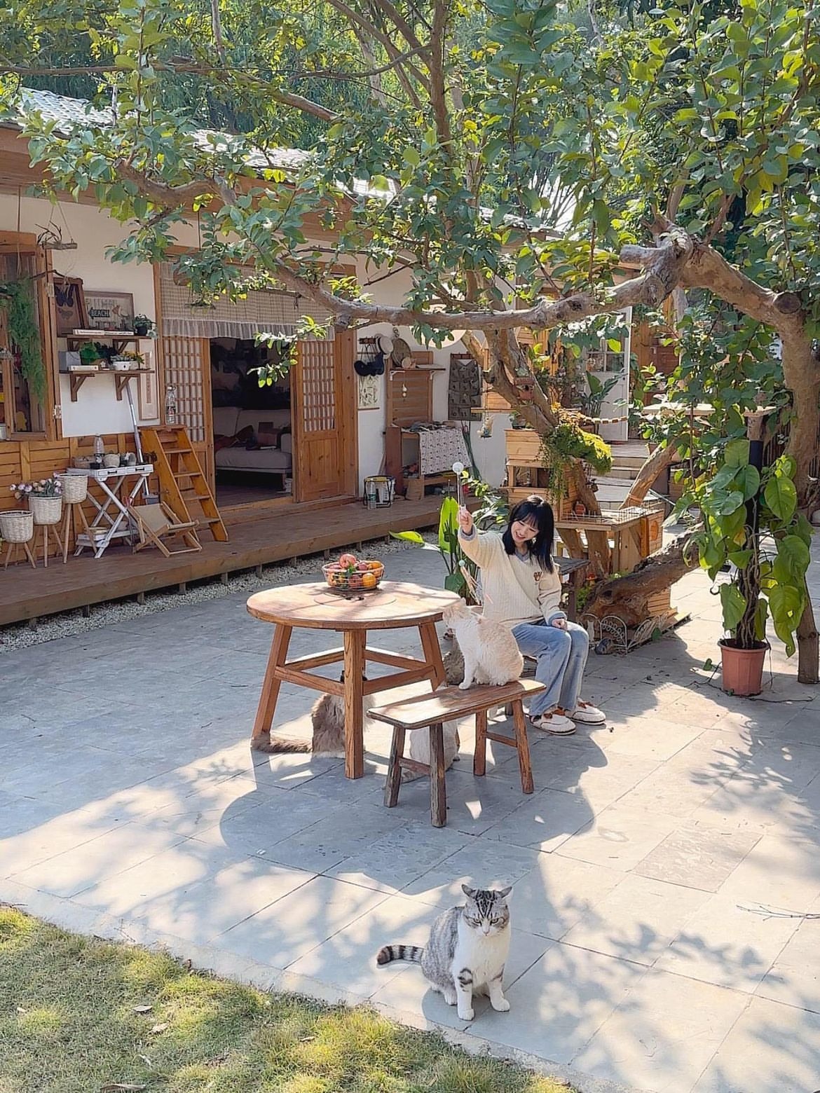 5 thứ có trong nhà người thật sự rất thông minh- Ảnh 2.