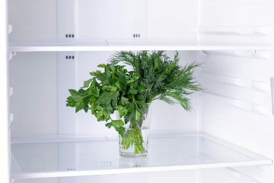 Đầu bếp nổi tiếng bậc nhất thế giới chỉ cách bảo quản rau thơm tươi suốt tuần - chỉ cần duy nhất 1 thứ- Ảnh 2.
