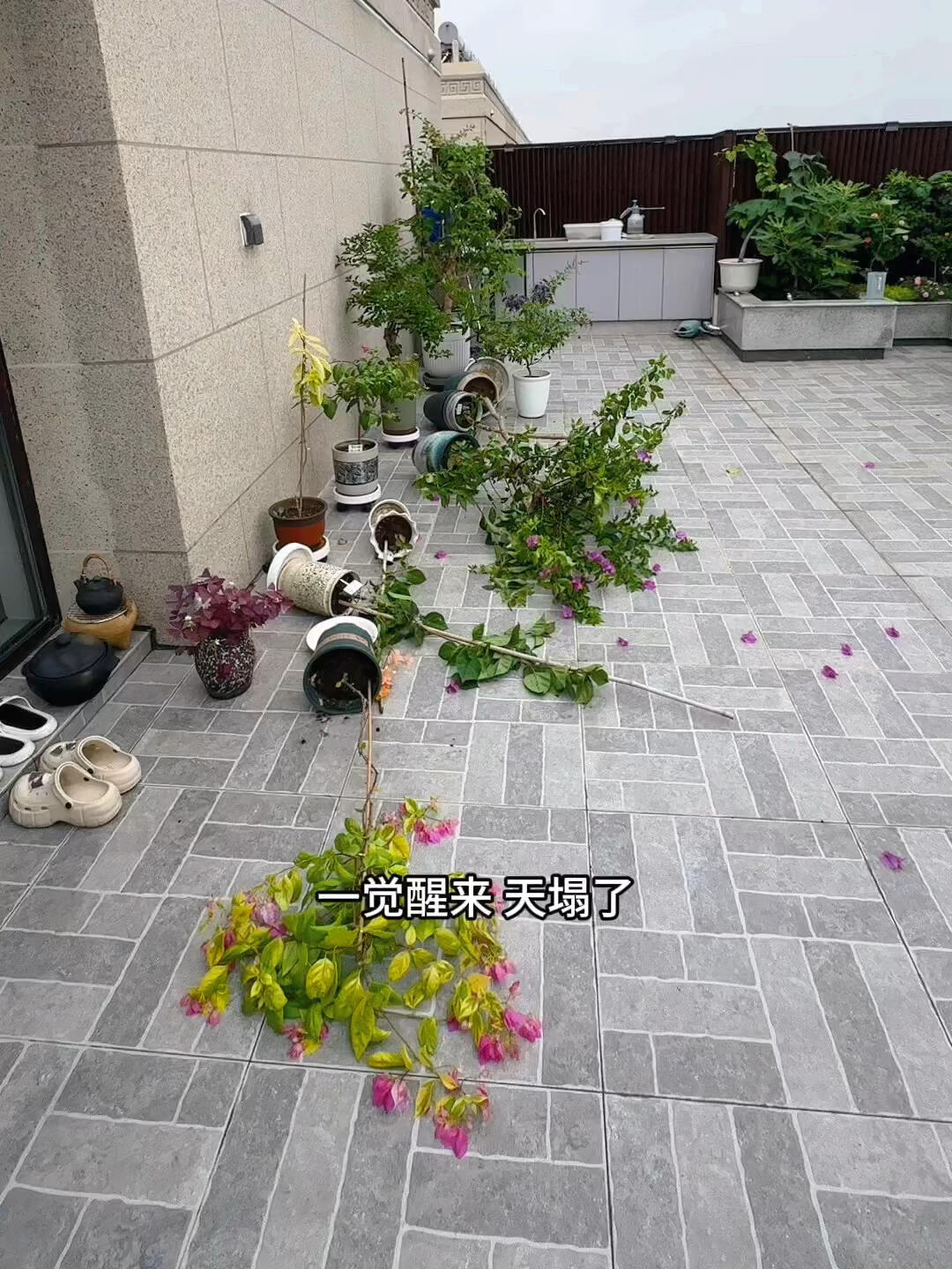 Penthouse - giấc mơ sang chảnh biến thành “địa ngục trên cao”: Tôi đã sống và hối hận!- Ảnh 2.