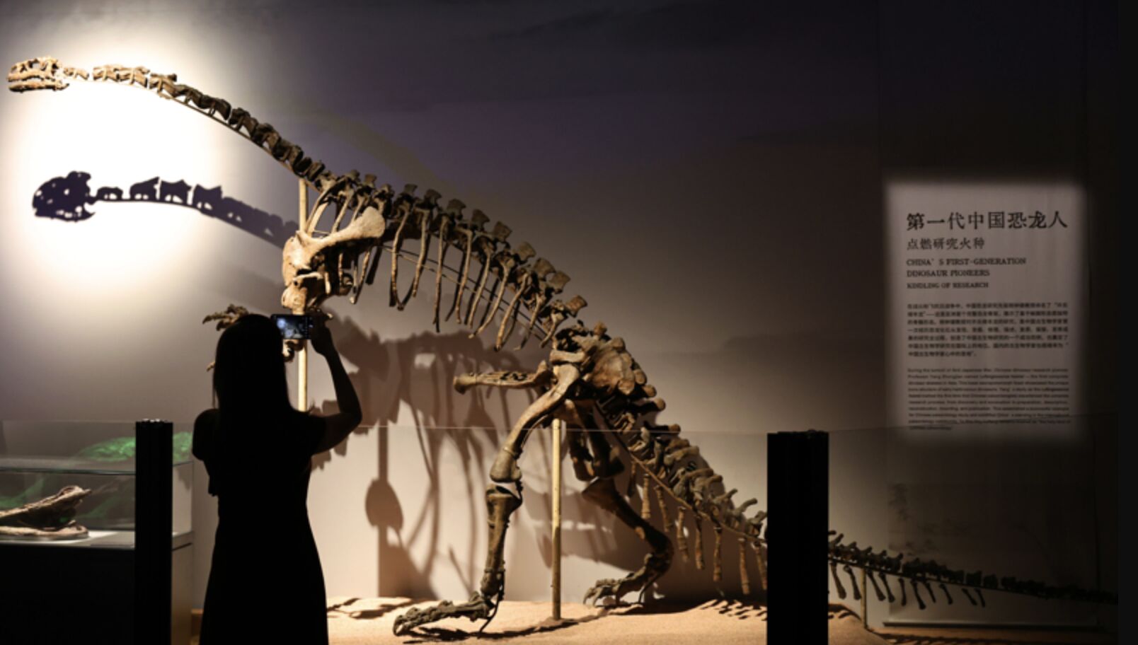 Khủng long có thể sẽ được hồi sinh- Ảnh 2. Khủng long có thể sẽ được hồi sinh- Ảnh 2.