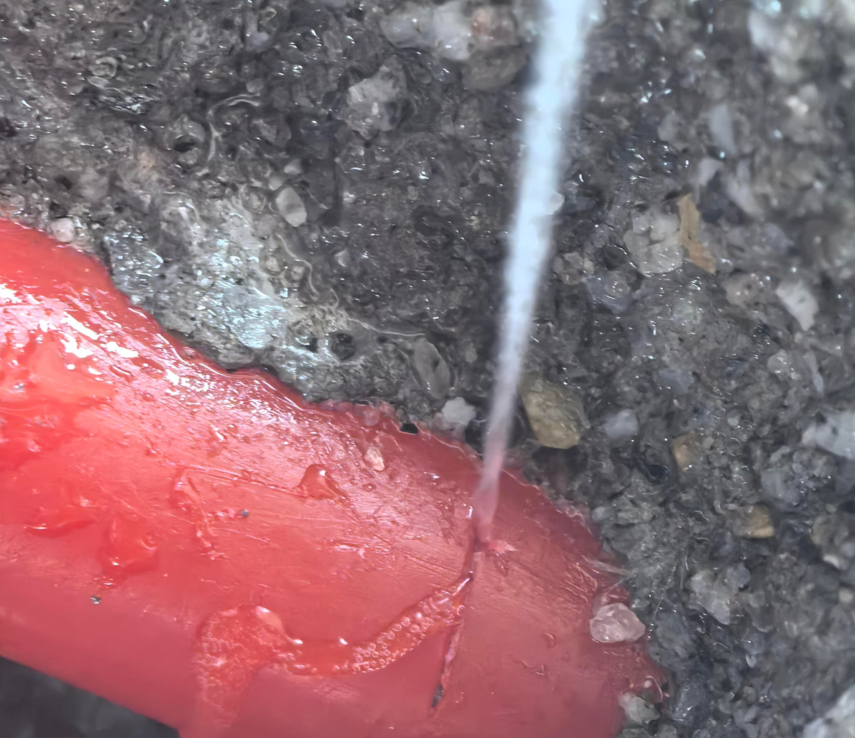 Thứ từng được coi là biểu tượng của nhà sang, nay bị đánh giá là lỗi thời và tốn kém- Ảnh 3.