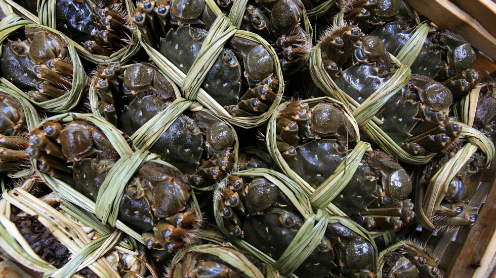 Cua ghẹ Việt đổi dòng chảy: Mỹ tiêu thụ chậm, một thị trường quan trọng khác lại bứt tốc- Ảnh 1. Cua ghẹ Việt đổi dòng chảy: Mỹ tiêu thụ chậm, một thị trường quan trọng khác lại bứt tốc- Ảnh 1.