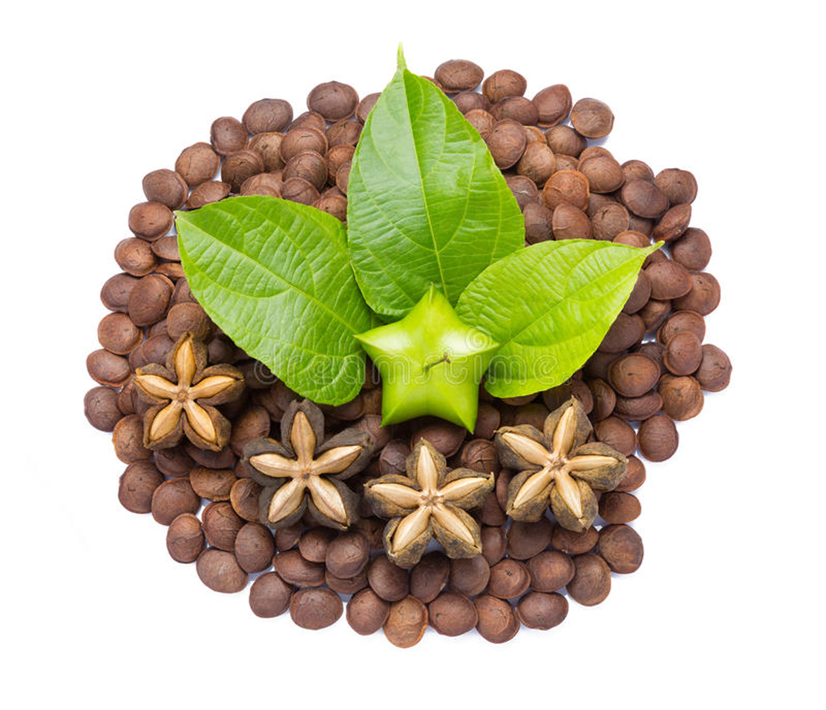 Loại hạt "đắt đỏ bậc nhất thế giới", ở Việt Nam cũng có mà ít ai hay- Ảnh 2.