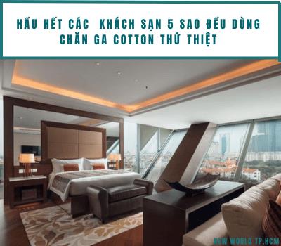 Bí mật giấc ngủ 5 sao: Vì sao họ chỉ chọn cotton thứ thiệt?- Ảnh 1. Bí mật giấc ngủ 5 sao: Vì sao họ chỉ chọn cotton thứ thiệt?- Ảnh 1.
