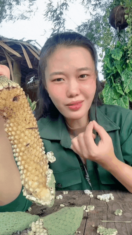 Loại quả nhìn như tổ ong, phải chờ 7 năm mới được ăn: Nhà giàu trồng làm cảnh, TikToker dùng để... mukbang- Ảnh 6. Loại quả nhìn như tổ ong, phải chờ 7 năm mới được ăn: Nhà giàu trồng làm cảnh, TikToker dùng để... mukbang- Ảnh 6.