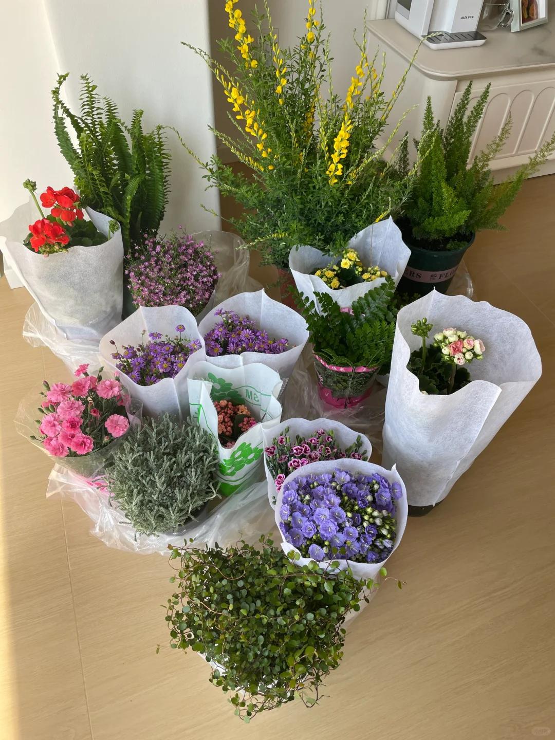 7 năm trồng hoa, tôi nhận ra: 4 thói quen tưởng vô hại nhưng khiến cây mãi không nở nổi một bông- Ảnh 4. 7 năm trồng hoa, tôi nhận ra: 4 thói quen tưởng vô hại nhưng khiến cây mãi không nở nổi một bông- Ảnh 4.