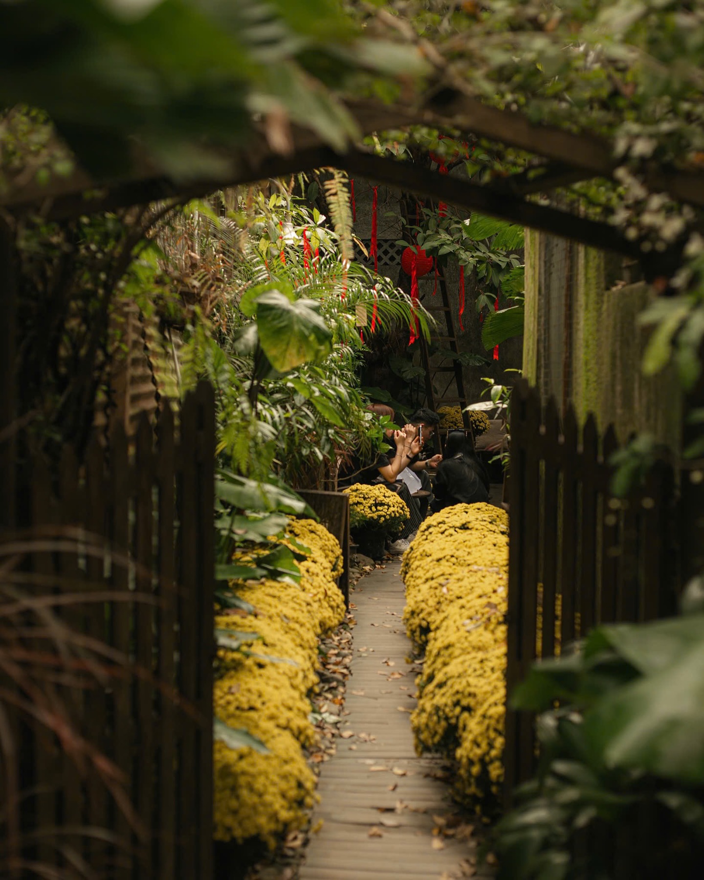 Nàng dâu hào môn Minh Hằng thích mê 1 quán cà phê ở Huế: Nơi bình yên phủ màu cổ kính, chỉ cần ngồi xuống là thấy lòng mình dịu lại- Ảnh 13. Nàng dâu hào môn Minh Hằng thích mê 1 quán cà phê ở Huế: Nơi bình yên phủ màu cổ kính, chỉ cần ngồi xuống là thấy lòng mình dịu lại- Ảnh 13.