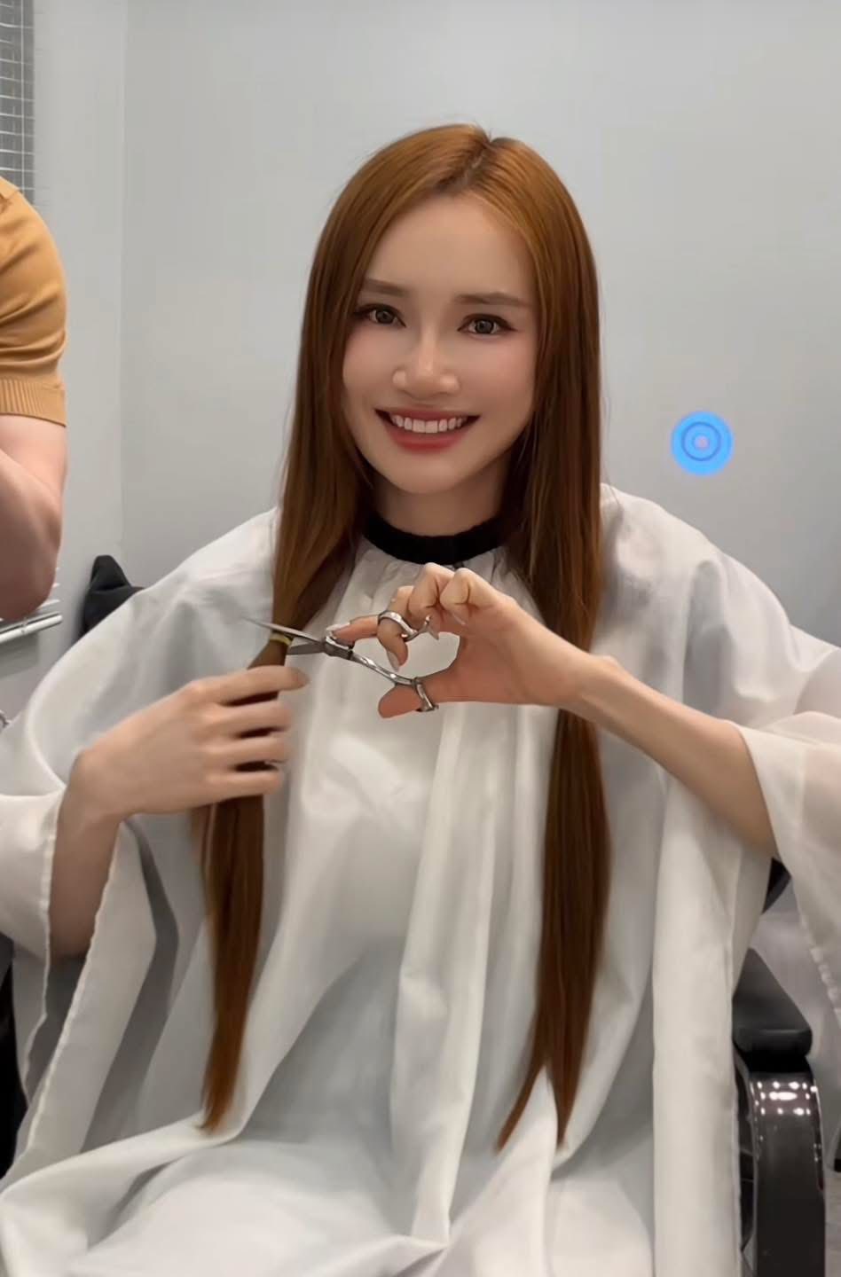 Nhã Phương bị chỉ trích  Nhã Phương bị chỉ trích