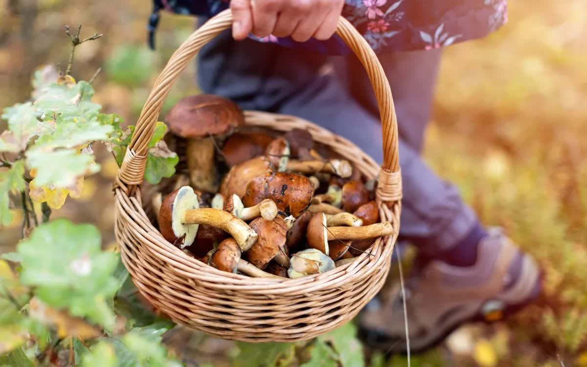 (Ảnh: Adobe Stock) (Ảnh: Adobe Stock)