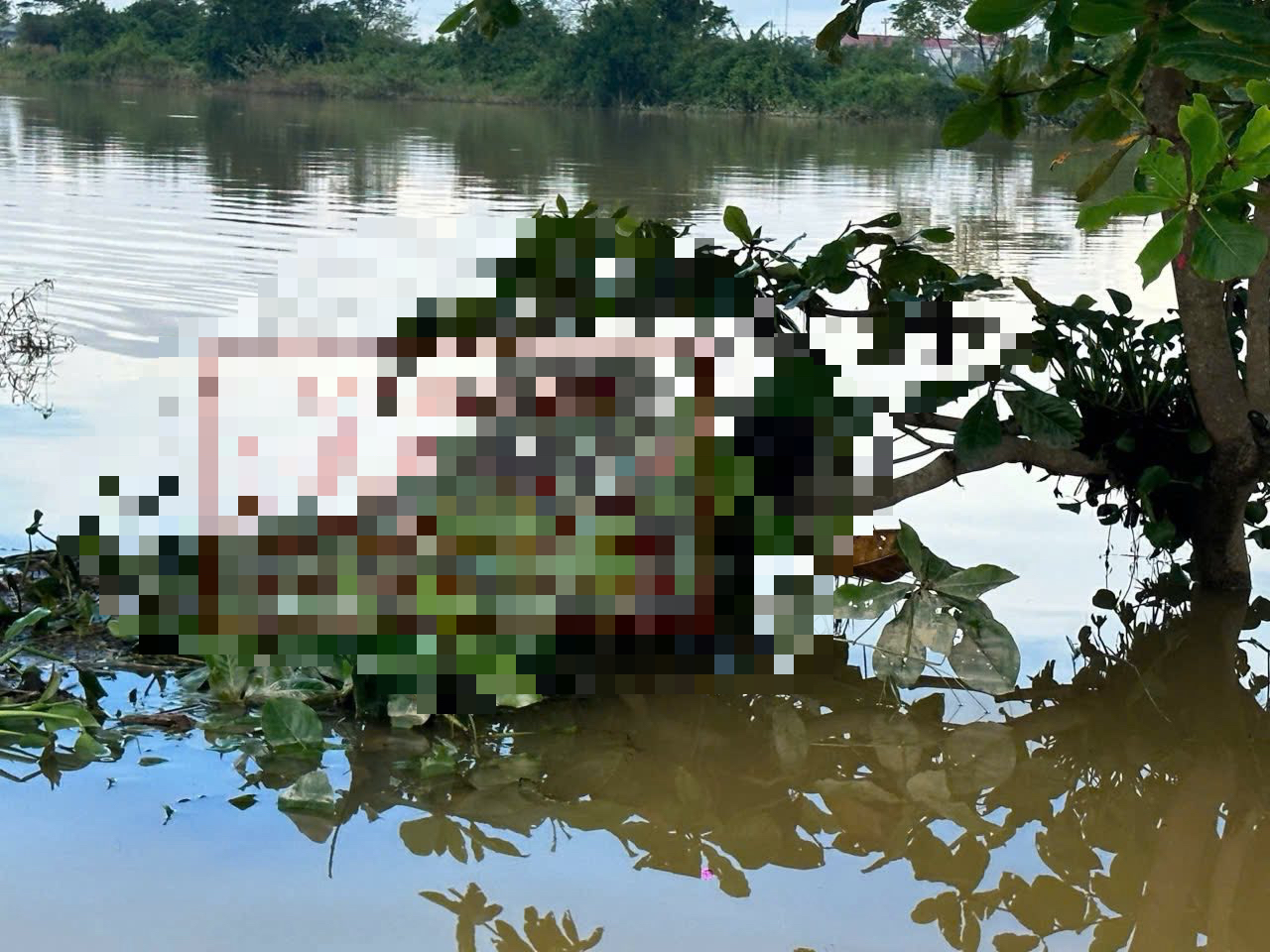 Phát hiện thi thể mắc trên cành cây giữa ruộng- Ảnh 1. Phát hiện thi thể mắc trên cành cây giữa ruộng- Ảnh 1.