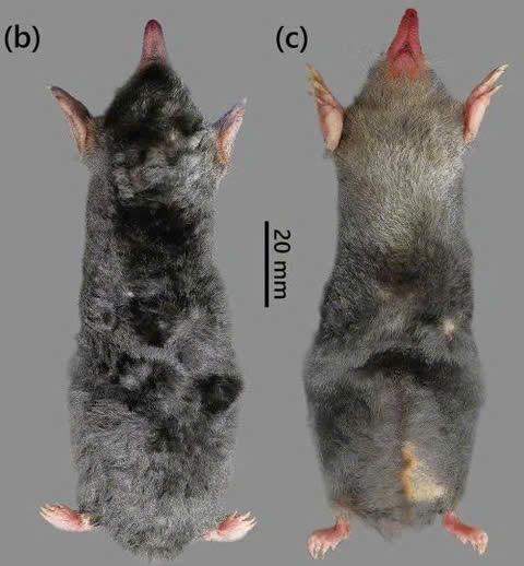 photo-1761637842434 photo-1761637842434