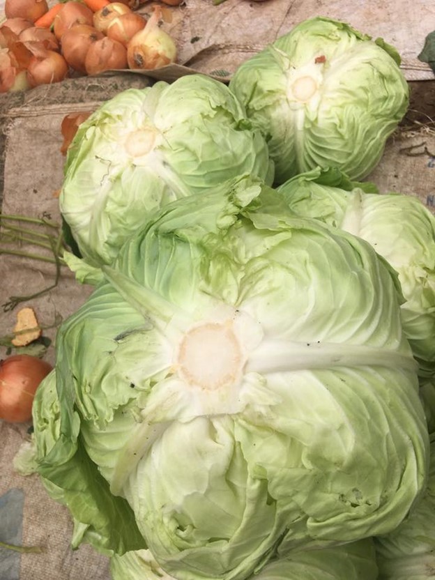 Loại rau quen thuộc, có nhiều vào mùa đông giá lại rẻ, giúp xương khớp khỏe mạnh- Ảnh 1. Loại rau quen thuộc, có nhiều vào mùa đông giá lại rẻ, giúp xương khớp khỏe mạnh- Ảnh 1.