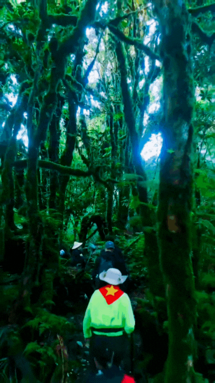 Phu Sa Phìn có một nơi lên hình  Phu Sa Phìn có một nơi lên hình