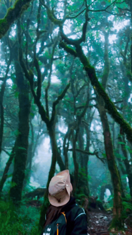 Phu Sa Phìn có một nơi lên hình  Phu Sa Phìn có một nơi lên hình