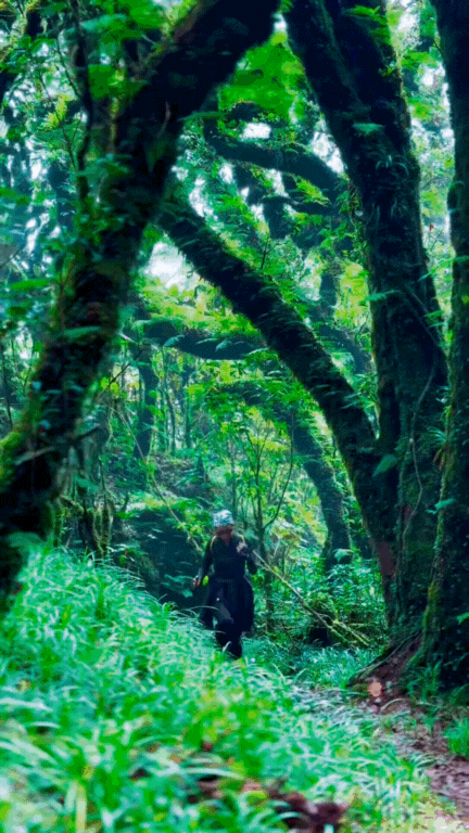 Phu Sa Phìn có một nơi lên hình  Phu Sa Phìn có một nơi lên hình