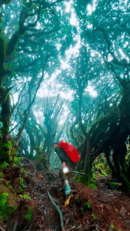 Phu Sa Phìn có một nơi lên hình  Phu Sa Phìn có một nơi lên hình