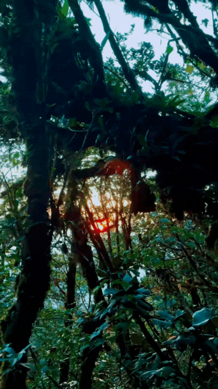 Phu Sa Phìn có một nơi lên hình  Phu Sa Phìn có một nơi lên hình