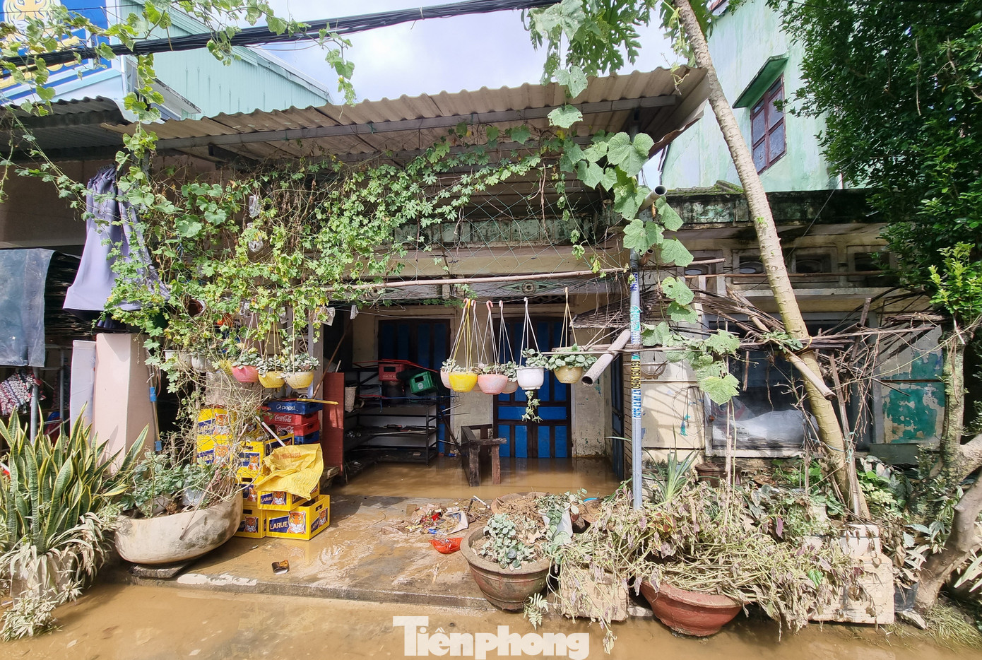 Cảnh tượng xót xa sau 3 đêm chạy lụt trở về: Nhà cửa nhuộm bùn, xơ xác- Ảnh 9. Cảnh tượng xót xa sau 3 đêm chạy lụt trở về: Nhà cửa nhuộm bùn, xơ xác- Ảnh 9.